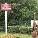 Des Lavandes