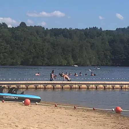 Des Lavandes * Oradour-Fanais