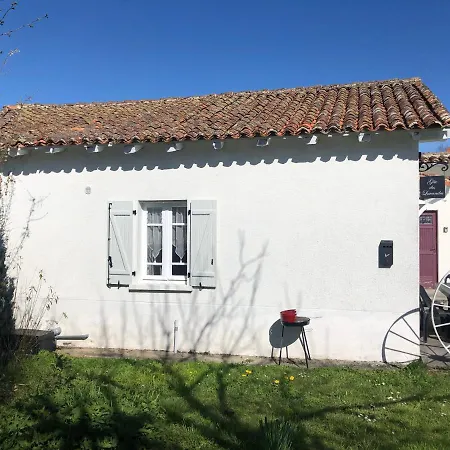 Des Lavandes Oradour-Fanais