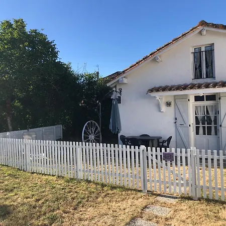 Des Lavandes Oradour-Fanais