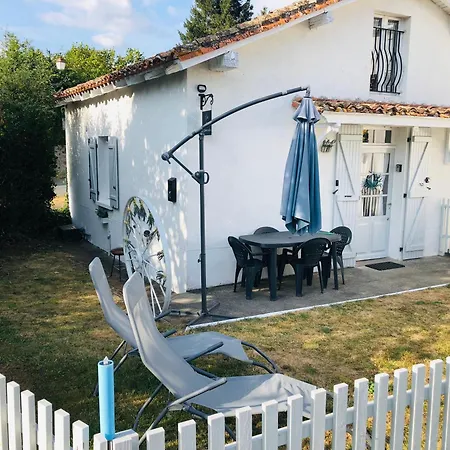 Des Lavandes *