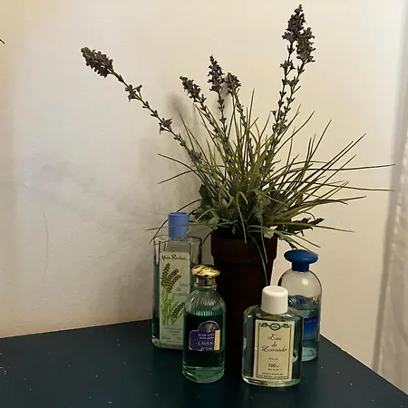 Des Lavandes Oradour-Fanais