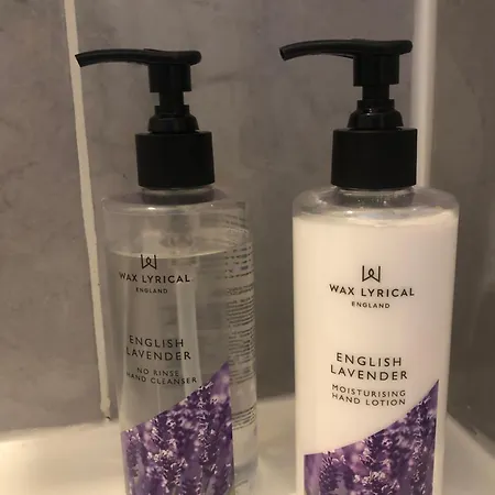 Des Lavandes Oradour-Fanais