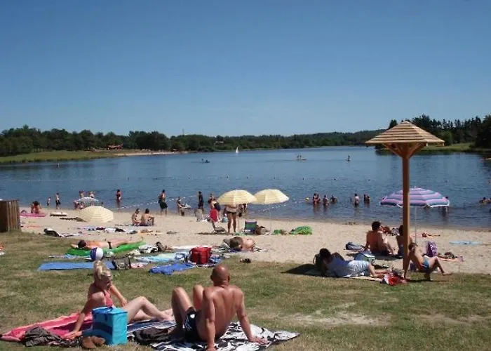 Des Lavandes Oradour-Fanais