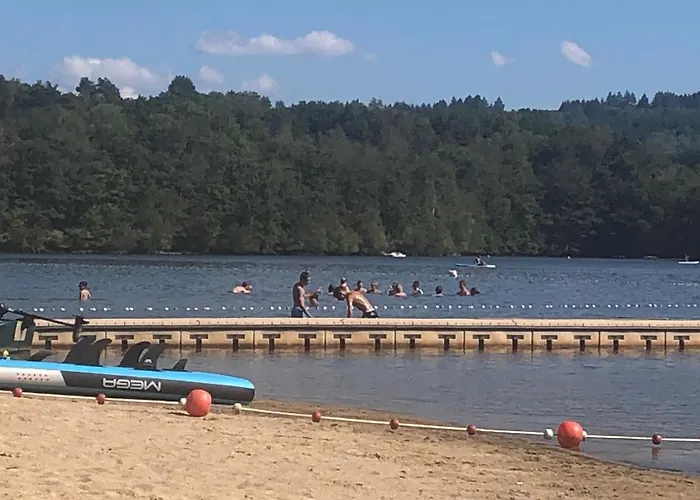 Des Lavandes * Oradour-Fanais