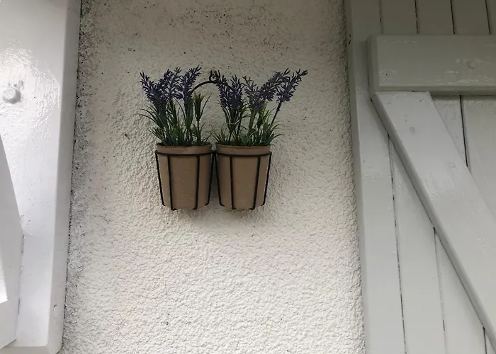 Des Lavandes Сasa de vacaciones *