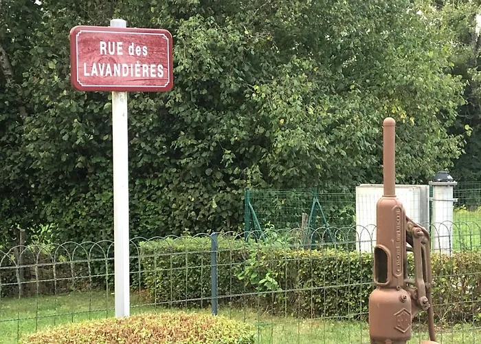 Des Lavandes