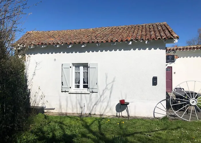 Des Lavandes Oradour-Fanais