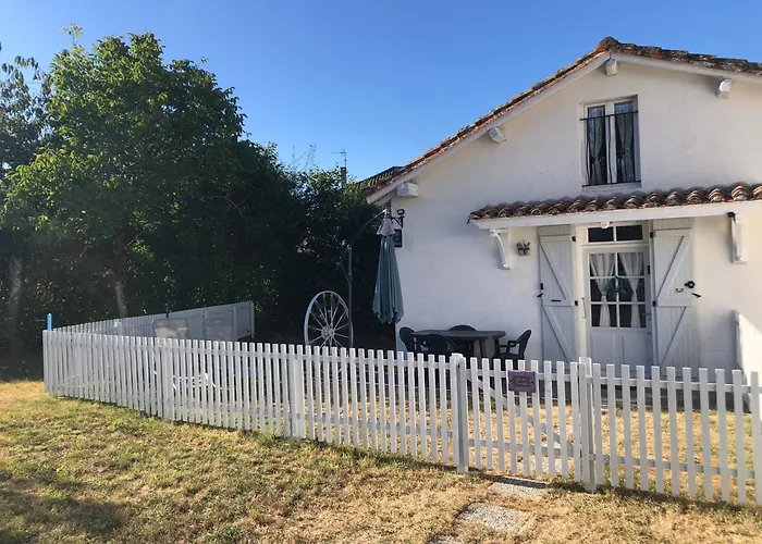 Des Lavandes Oradour-Fanais