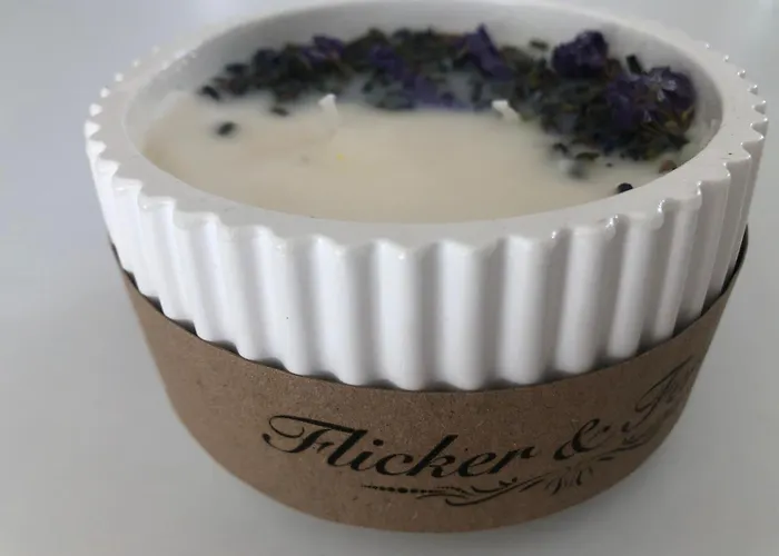 Des Lavandes * Oradour-Fanais