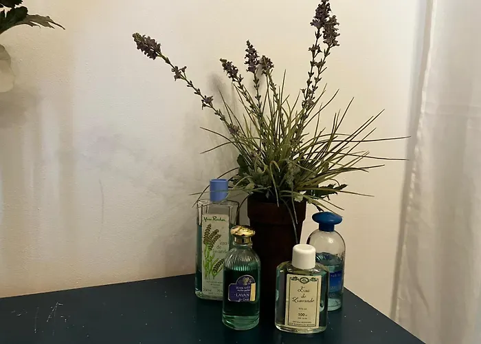 Des Lavandes Oradour-Fanais