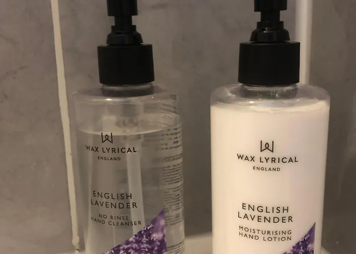 Des Lavandes Oradour-Fanais