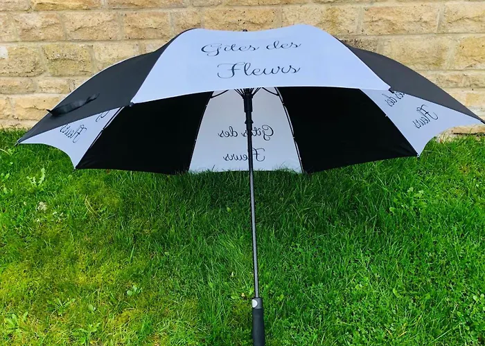 Des Lavandes Сasa de vacaciones Oradour-Fanais